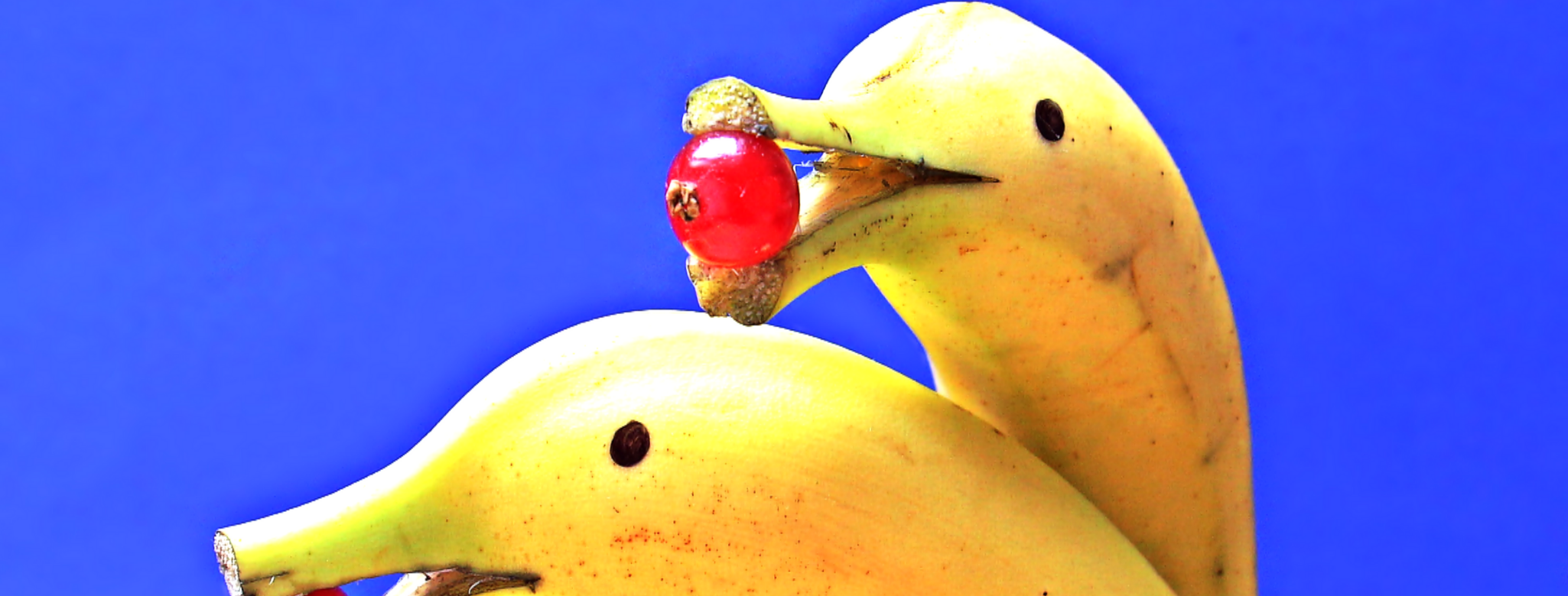 Kunst Bananen